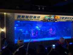 -成都浩海立方海洋公园