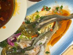 -33号大院·青岛本帮菜(五四广场店)