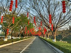 -番禺大夫山森林公园