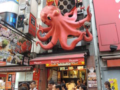 -蟹道乐(道顿堀本店)