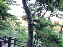 -山叶口景区