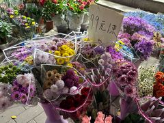 -宝鸡东道花鸟鱼虫市场(吉利花园商场店)