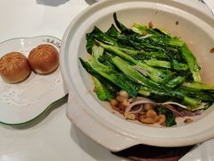 砂锅油麦菜-撒椒·四川江湖菜(大族广场店)