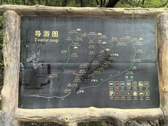 -王顺山国家森林公园
