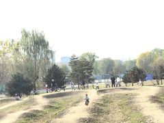 -乐行自行车运动乐园