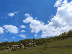 -关山草原