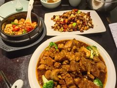 -陈麻婆豆腐总店