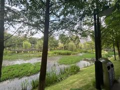 -沐仙湖湿地公园