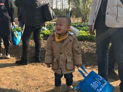 -前小桔亲子创意农场·草莓采摘·露营烧烤