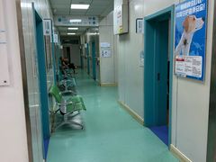 -北京观赏动物医院·24小时大型综合·猫专科·异宠专科