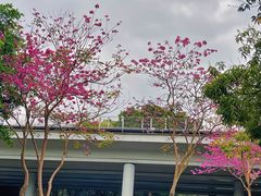 -深圳国际园林花卉博览园