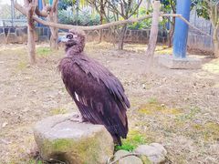 -上方山森林动物世界