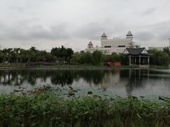 -映月湖公园