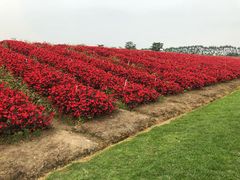 -迪茵湖田家舍生态农场