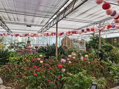 -南宫五洲植物乐园