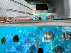 -烟台海昌鲸鲨海洋公园