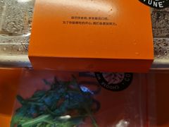 -COMMUNE幻师(渔人码头店)
