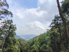 -广州市帽峰山景区