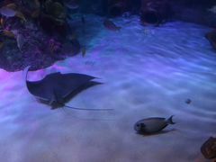 -沈阳海洋探索中心