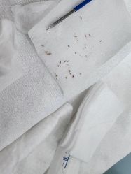 -靓芙泉专研痘痘肌