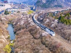 -居庸关长城