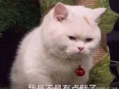 -云晓光头烧烤吧(川沙绿地店)