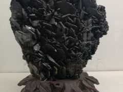 -二连浩特国家地质公园
