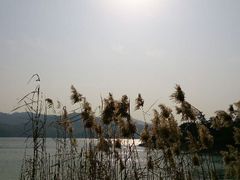 android_upload_pic-天目湖涵田度假村