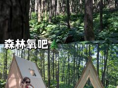 -洛阳白云山景区