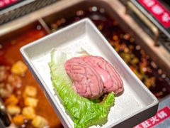 鲜猪脑-九鼎轩脆毛肚火锅(三钢里店)