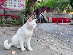 -古德寺素菜馆