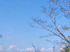 -香炉山国家森林公园