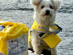 -贝康宠物医院·犬猫全科·小动物特色诊疗中心(东环路店)
