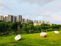 -大亚湾红树林城市湿地公园