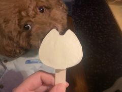 -烤匠麻辣烤鱼(万象城店)