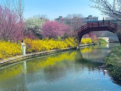 -洛阳市隋唐城遗址植物园