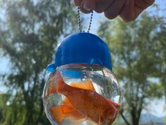 -青龙湖公园