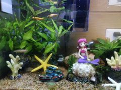 -大润发(姑嫂树店)