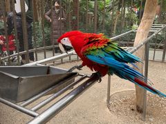 -南宫五洲植物乐园