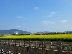 -光明小镇欢乐田园