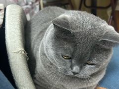 -宠福鑫康馨动物医院·骨科·眼科