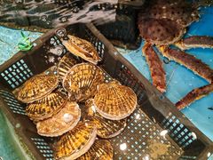 -怀德酒楼·粤菜·海鲜·茶点(宝安国际机场店)