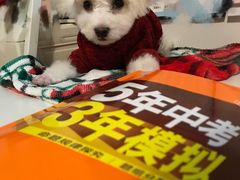 -沐沐家宠物(成寿寺店)