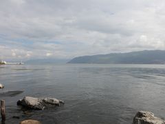 -才村湿地公园