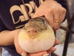 -永安鱼庄·镇江菜(丁卯店)