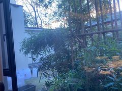 -静之湖湖畔餐厅