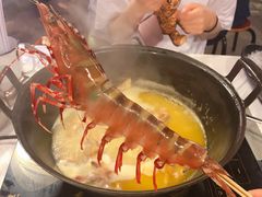 -鲜入围煮花胶鸡海鲜火锅