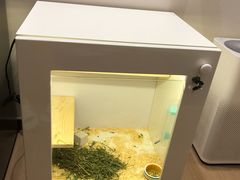 -龙猫仔乐园(惠福东路店)