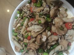-渡海小渔村.老辈日照菜