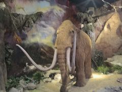 -抚顺煤矿博物馆